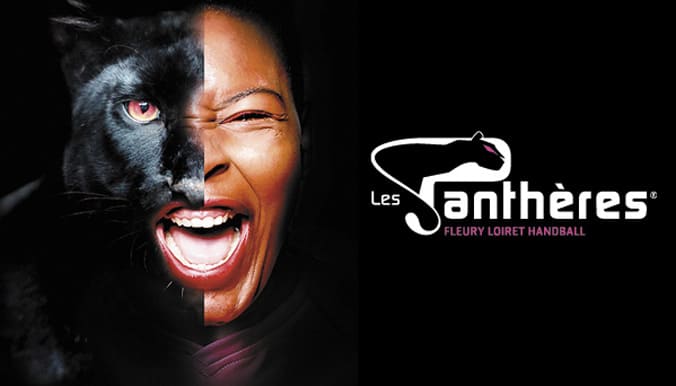 logo Les Panthères