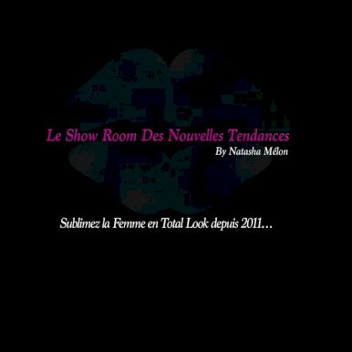logo SHOW ROOM DES NOUVELLES TENDANCES